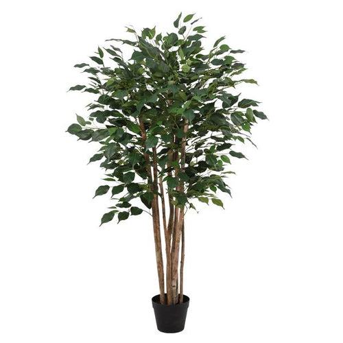 ARTIFICIAL Ficus Benjamina – 150cm