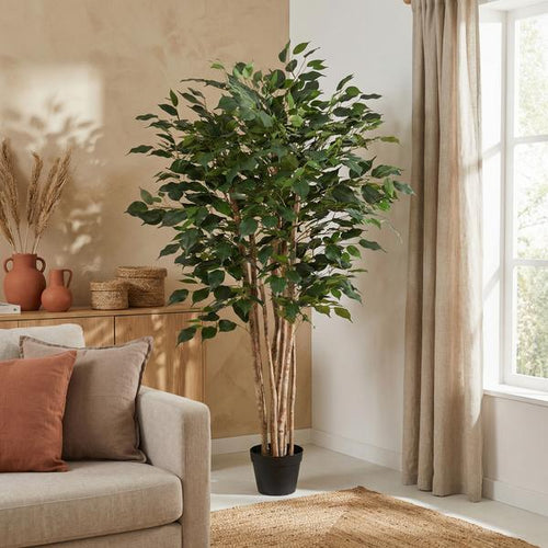 ARTIFICIAL Ficus Benjamina – 150cm