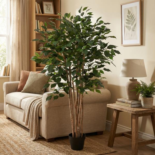 ARTIFICIAL Ficus Benjamina – 150cm