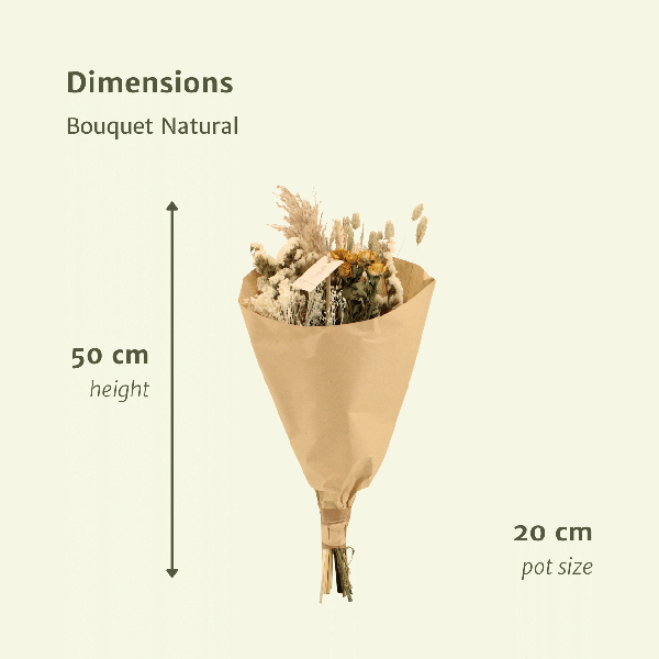 Droogbloemen Field Bouquet Natural – Ø20cm – ↕50cm