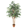 ARTIFICIAL Ficus Exotica – 150cm
