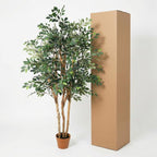 ARTIFICIAL Ficus Exotica – 150cm