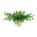 ARTIFICIAL epipremnum including white pot
