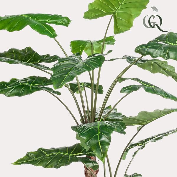 Alocasia Cucullata – Monnikenkap alocasia – Groen – Kunstplant – Ø12cm – ↕70cm – 180 cm