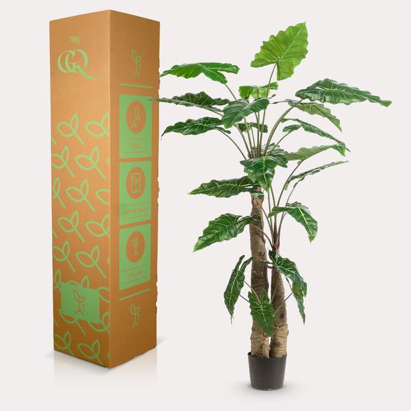 Alocasia Cucullata – Monnikenkap alocasia – Groen – Kunstplant – Ø12cm – ↕70cm – 180 cm