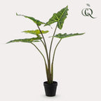 Kunstplant – Alocasia Frydek – Olifantsoor – 80 cm