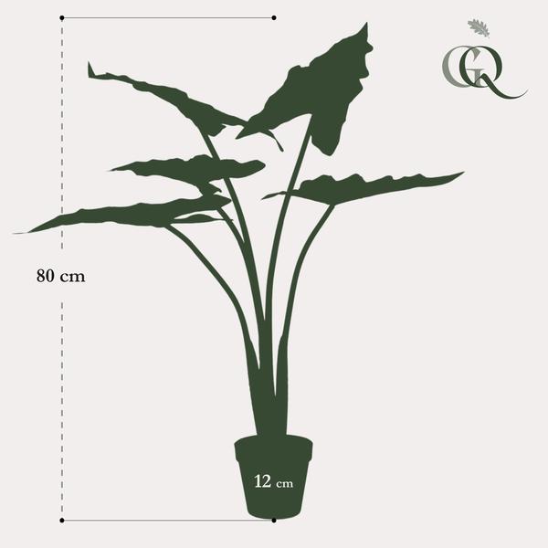 Kunstplant – Alocasia Frydek – Olifantsoor – 80 cm