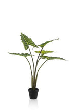 Kunstplant – Alocasia Frydek – Olifantsoor – 80 cm