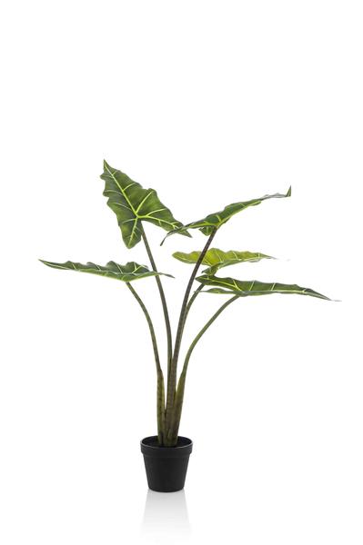Kunstplant – Alocasia Frydek – Olifantsoor – 80 cm