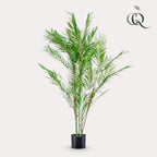 Kunstplant – Chamaedorea Elegans – Bergpalm – 120 cm
