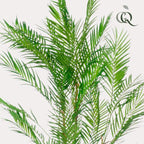 Kunstplant – Chamaedorea Elegans – Bergpalm – 120 cm