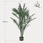 Kunstplant – Chamaedorea Elegans – Bergpalm – 120 cm