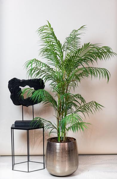 Kunstplant – Chamaedorea Elegans – Bergpalm – 120 cm