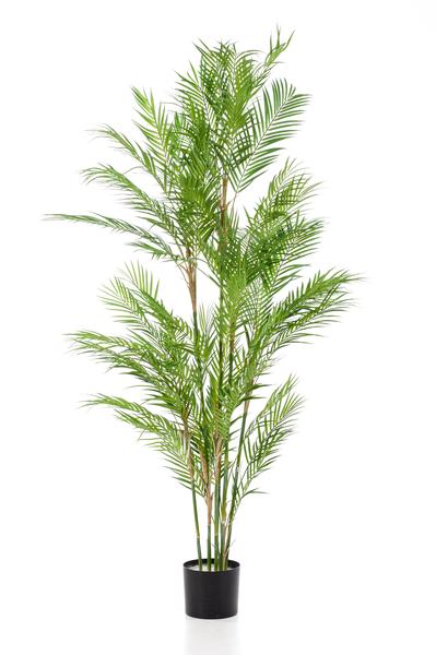 Kunstplant – Chamaedorea Elegans – Bergpalm – 180 cm