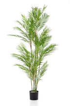 Kunstplant – Chamaedorea Elegans – Bergpalm – 180 cm