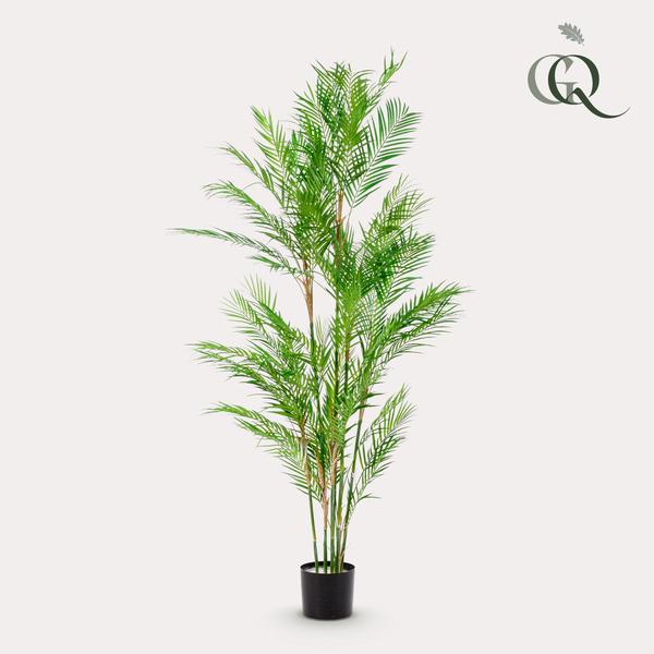 Kunstplant – Chamaedorea Elegans – Bergpalm – 180 cm