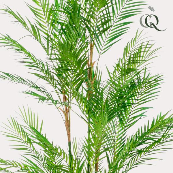 Kunstplant – Chamaedorea Elegans – Bergpalm – 180 cm