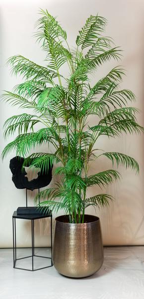 Kunstplant – Chamaedorea Elegans – Bergpalm – 180 cm