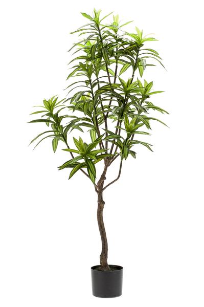 Kunstplant – Dracaena – Drakenboom – 130 cm