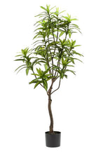 Kunstplant – Dracaena – Drakenboom – 130 cm