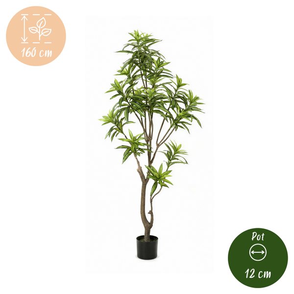 Kunstplant – Dracaena – Drakenboom – 155 cm