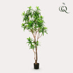Kunstplant – Dracaena – Drakenboom – 190 cm