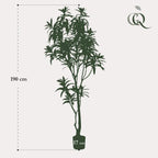 Kunstplant – Dracaena – Drakenboom – 190 cm