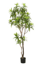 Kunstplant – Dracaena – Drakenboom – 190 cm