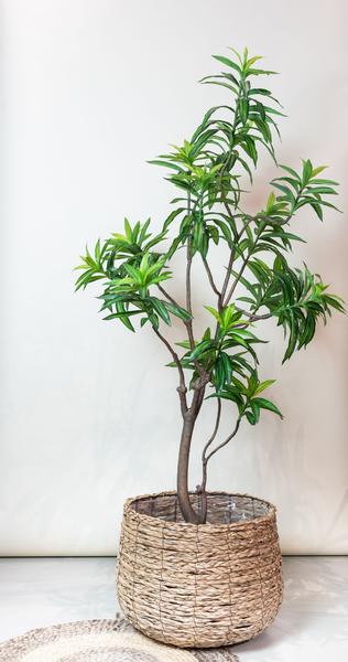 Kunstplant – Dracaena – Drakenboom – 190 cm