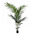 Kunstplant – Kentia – Kentiapalm – 150cm