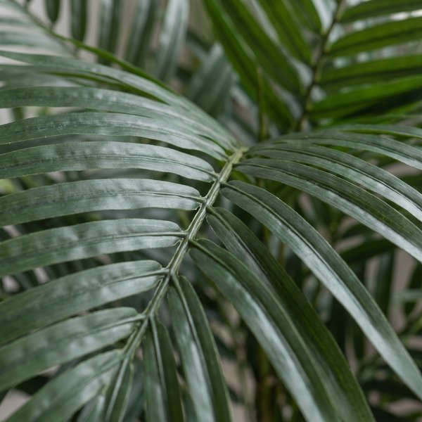 Kunstplant – Kentia – Kentiapalm – 150cm
