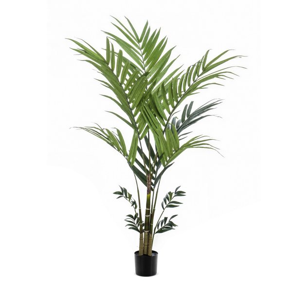 Kunstplant – Kentia -Kentiapalm – 180 cm