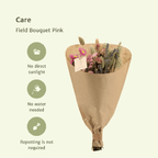 Droogbloemen Field Bouquet Pink – Ø15cm – ↕35cm