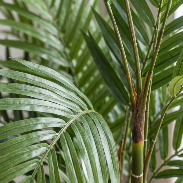 Kunstplant – Kentia -Kentiapalm – 180 cm