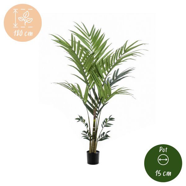 Kunstplant – Kentia -Kentiapalm – 180 cm