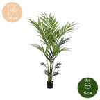 Kunstplant – Kentia -Kentiapalm – 180 cm