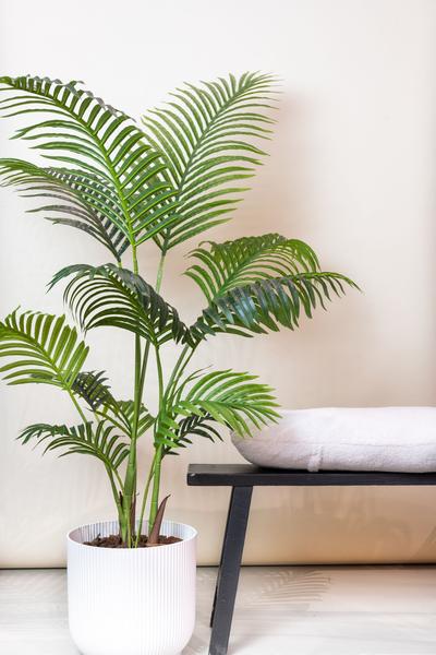 Kunstplant – Howea Forsteriana – 140 cm