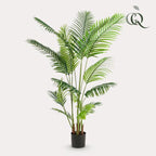 Kunstplant – Howea Forsteriana – 160 cm