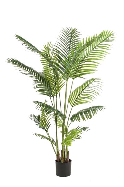 Kunstplant – Howea Forsteriana – 160 cm