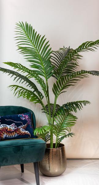 Kunstplant – Howea Forsteriana – 160 cm