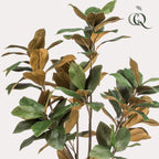 Kunstplant – Magnolia Grandiflora – 150 cm