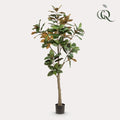 Kunstplant – Magnolia Grandiflora – 180 cm