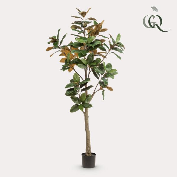 Kunstplant – Magnolia Grandiflora – 180 cm