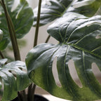 Monstera Deliciosa – kunstplant – 65 cm