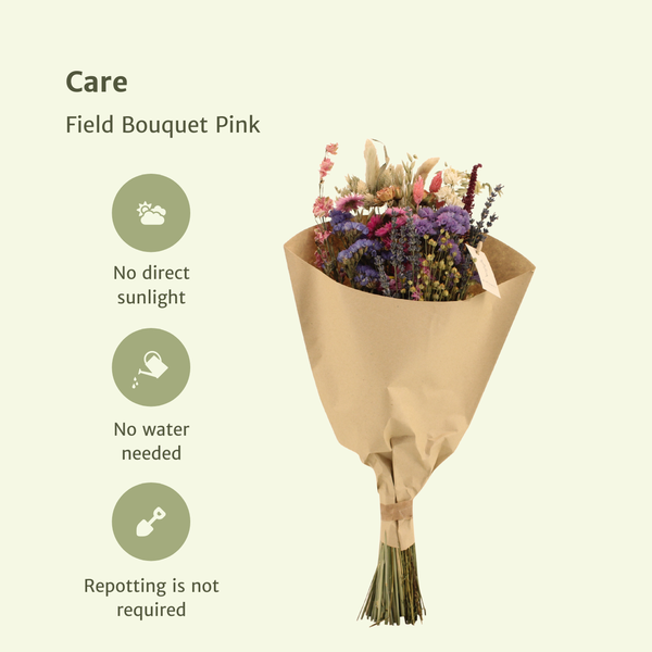 Droogbloemen Field Bouquet Pink – Ø20cm – ↕50cm