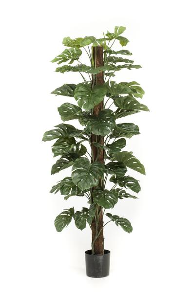 Monstera Deliciosa – kunstplant – 180 cm