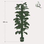 Monstera Deliciosa – kunstplant – 180 cm
