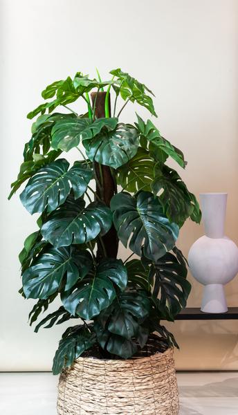 Monstera Deliciosa – kunstplant – 180 cm