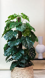 Monstera Deliciosa – kunstplant – 180 cm