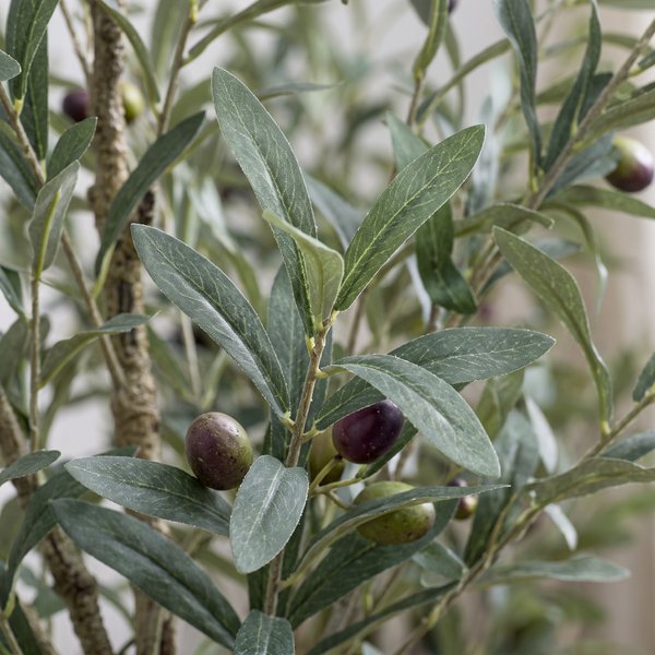 Kunst Olijfboom – Olea europaea – Olijfboom – 115 cm